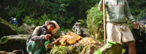 Group of people in a dense forest surrounding a large honeycomb on rocks as one man cuts honey while others observe nearby.